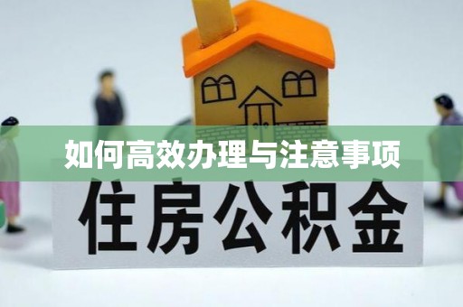 板芙如何高效办理与注意事项