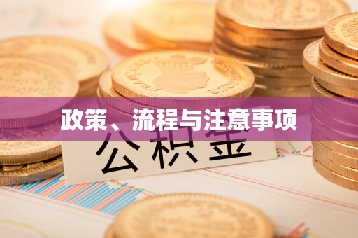 板芙政策、流程与注意事项