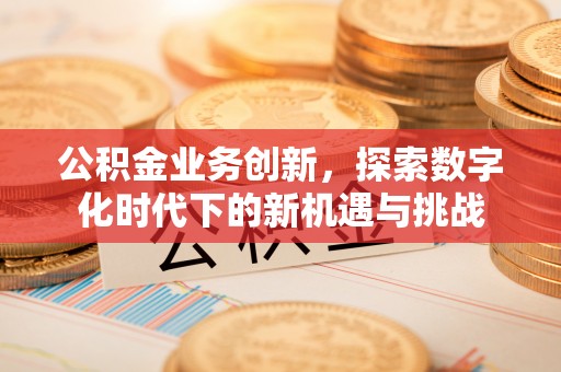 板芙公积金业务创新，探索数字化时代下的新机遇与挑战