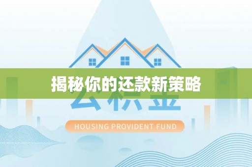 板芙揭秘你的还款新策略
