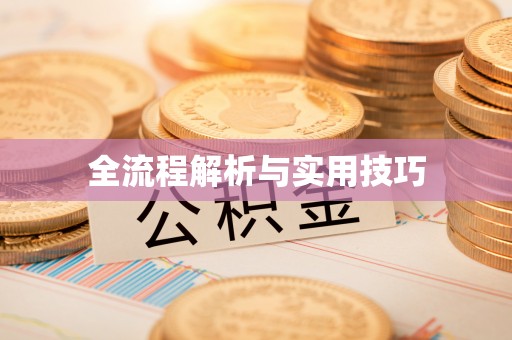 板芙全流程解析与实用技巧