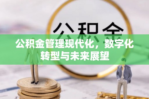 板芙公积金管理现代化，数字化转型与未来展望