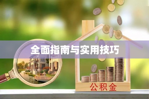 板芙全面指南与实用技巧