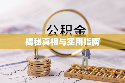 板芙揭秘真相与实用指南