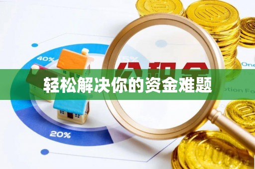 板芙轻松解决你的资金难题