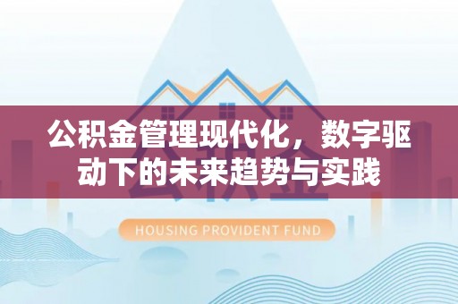 板芙公积金管理现代化，数字驱动下的未来趋势与实践