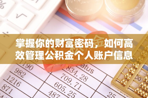 板芙掌握你的财富密码，如何高效管理公积金个人账户信息