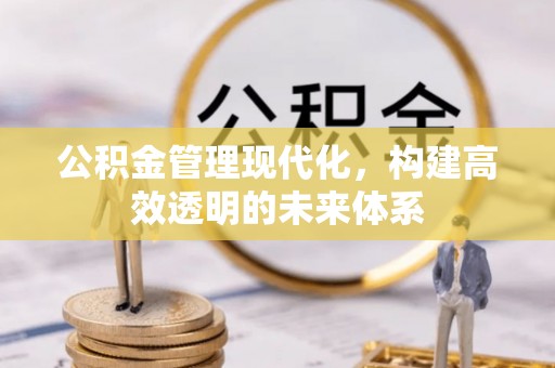 板芙公积金管理现代化，构建高效透明的未来体系