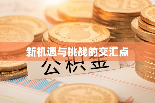 板芙新机遇与挑战的交汇点