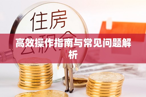 板芙高效操作指南与常见问题解析