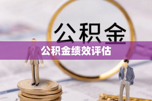 板芙公积金绩效评估