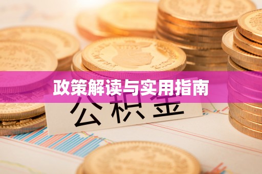 板芙政策解读与实用指南