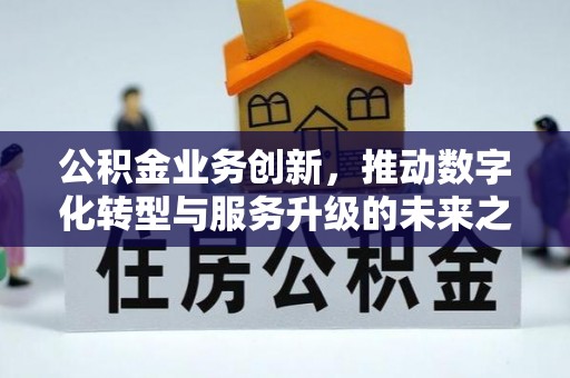 板芙公积金业务创新，推动数字化转型与服务升级的未来之路