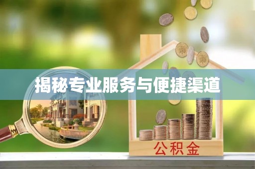 板芙揭秘专业服务与便捷渠道