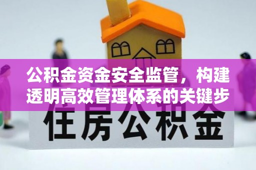板芙公积金资金安全监管，构建透明高效管理体系的关键步骤