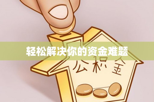 板芙轻松解决你的资金难题