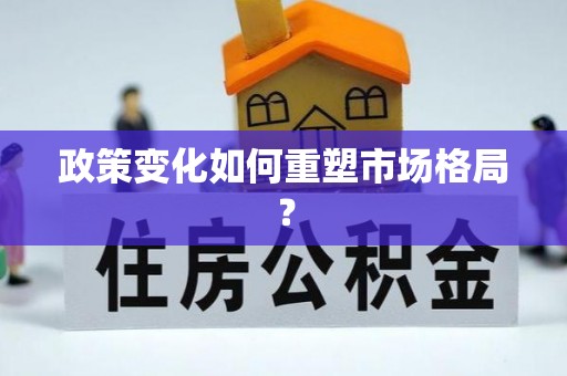 板芙政策变化如何重塑市场格局？