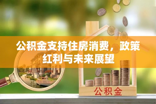 板芙公积金支持住房消费，政策红利与未来展望