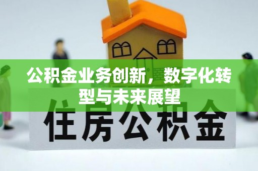 板芙公积金业务创新，数字化转型与未来展望