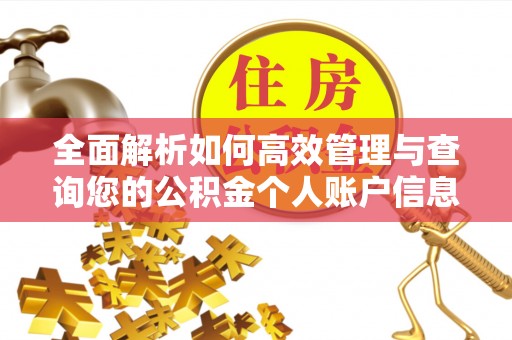 板芙全面解析如何高效管理与查询您的公积金个人账户信息