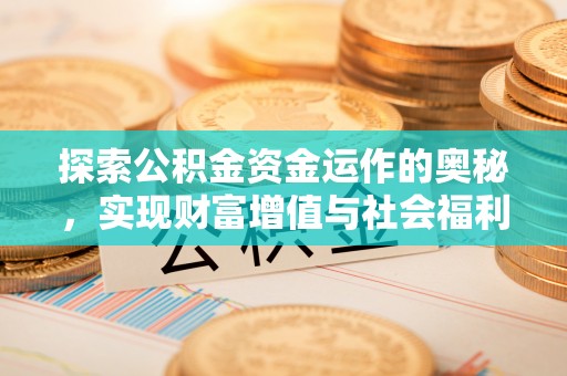 板芙探索公积金资金运作的奥秘，实现财富增值与社会福利双赢