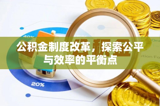 板芙公积金制度改革，探索公平与效率的平衡点