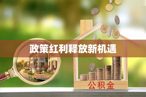 板芙政策红利释放新机遇