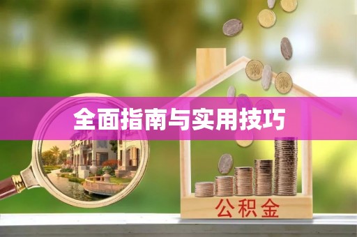 板芙全面指南与实用技巧