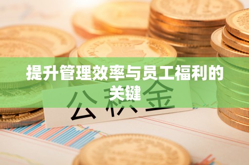 板芙提升管理效率与员工福利的关键