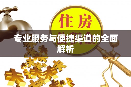 板芙专业服务与便捷渠道的全面解析