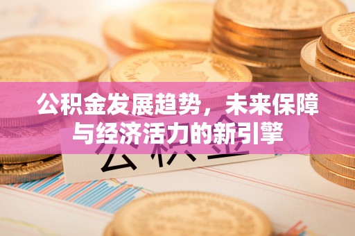 板芙公积金发展趋势，未来保障与经济活力的新引擎
