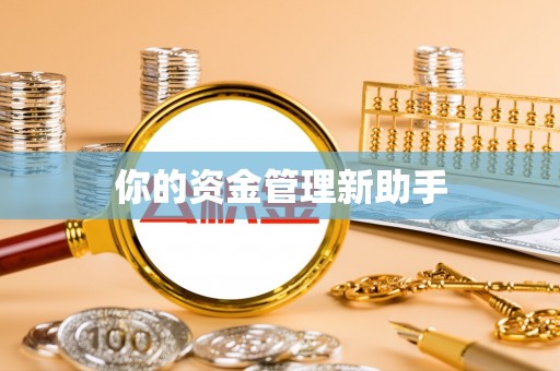 板芙你的资金管理新助手