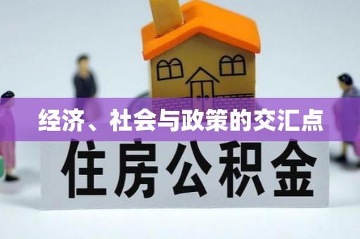 板芙经济、社会与政策的交汇点