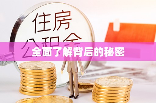 板芙全面了解背后的秘密