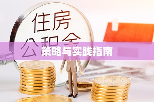 板芙策略与实践指南