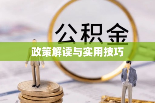 板芙政策解读与实用技巧