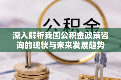 板芙深入解析我国公积金政策咨询的现状与未来发展趋势