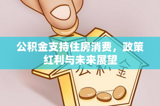 板芙公积金支持住房消费，政策红利与未来展望