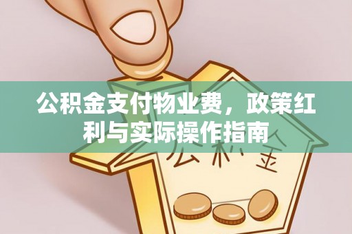 板芙公积金支付物业费，政策红利与实际操作指南