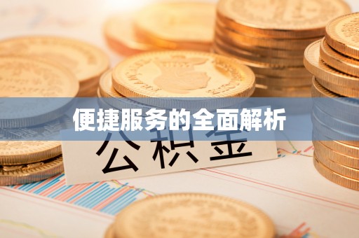 板芙便捷服务的全面解析