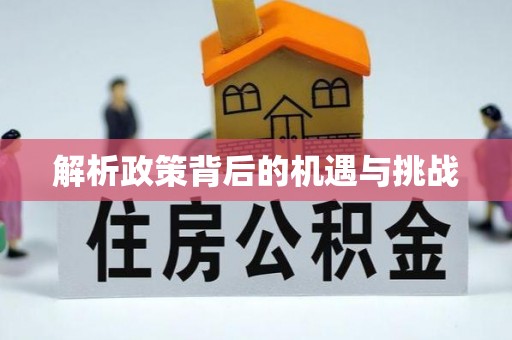 板芙解析政策背后的机遇与挑战