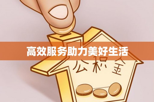 板芙高效服务助力美好生活
