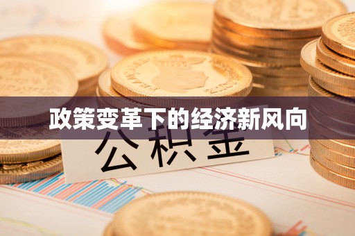 板芙政策变革下的经济新风向