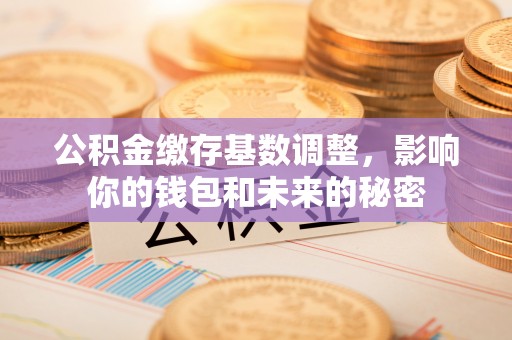 板芙公积金缴存基数调整，影响你的钱包和未来的秘密