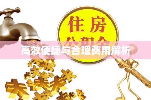 板芙高效便捷与合理费用解析