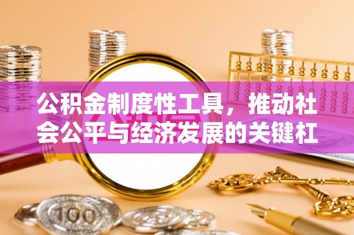 板芙公积金制度性工具，推动社会公平与经济发展的关键杠杆