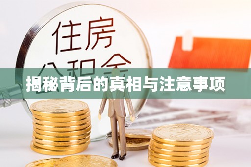 板芙揭秘背后的真相与注意事项