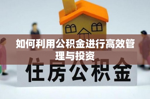 板芙如何利用公积金进行高效管理与投资
