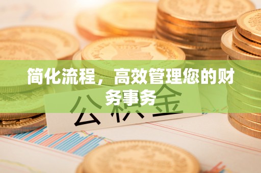 板芙简化流程，高效管理您的财务事务