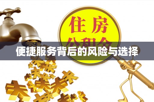 板芙便捷服务背后的风险与选择